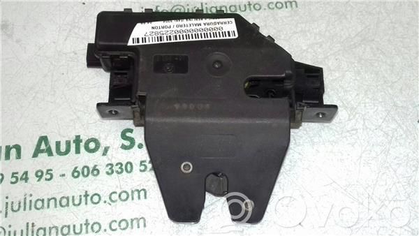 Tailgate/trunk/boot lock/catch/latch   8196401