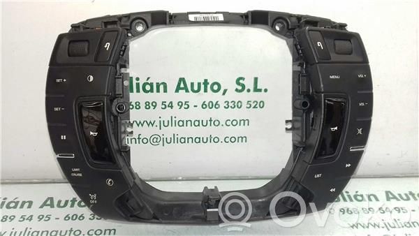 Multifunctional control switch/knob   96663640ZD,28202145ANILLO
