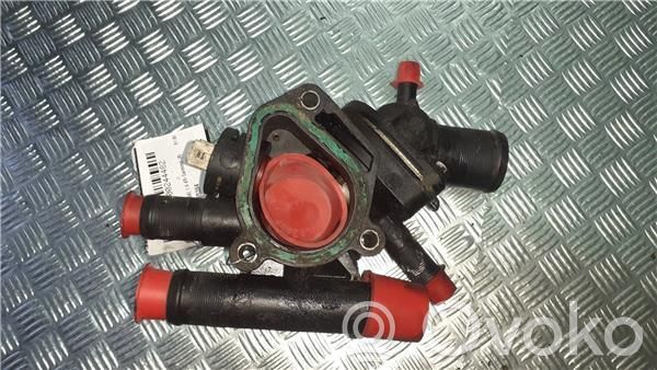 Termostato   8200065394