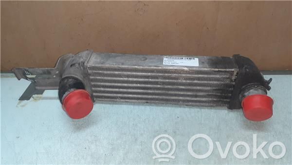 Chłodnica powietrza doładowującego / Intercooler   52401027,644549552DELPHI