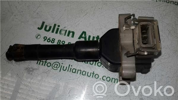 High voltage ignition coil   1703359,118563PINES