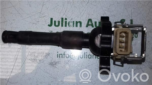 High voltage ignition coil   1748017,118603PINES