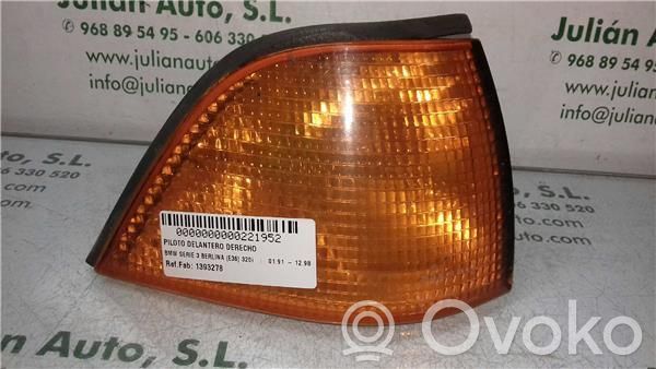Front indicator light   1393278,D21628
