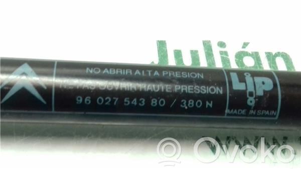 Citroen ZX Tailgate/trunk/boot lid buffer 