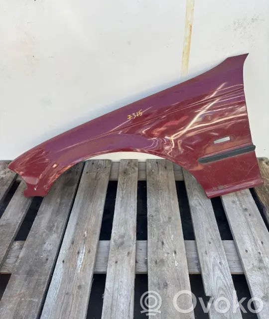 Fender   LIZO1OEL
