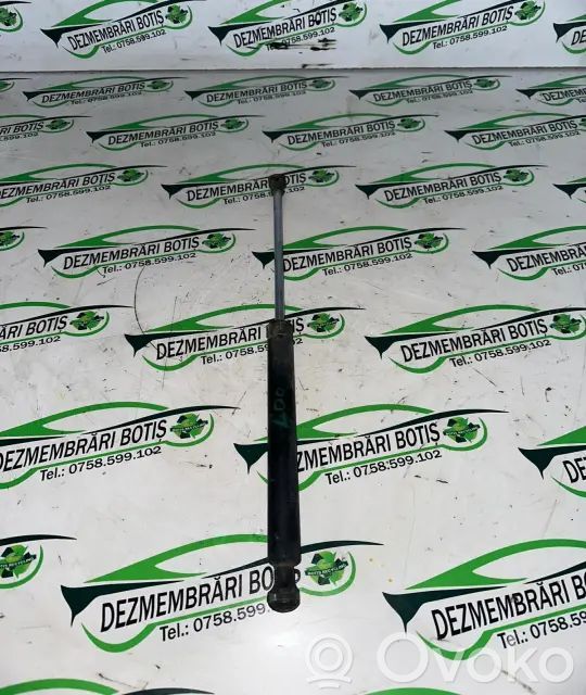 Tailgate/trunk strut/damper   NZXH7T4K