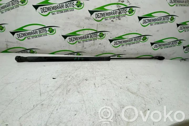Tailgate/trunk strut/damper   BZZSSPWQ