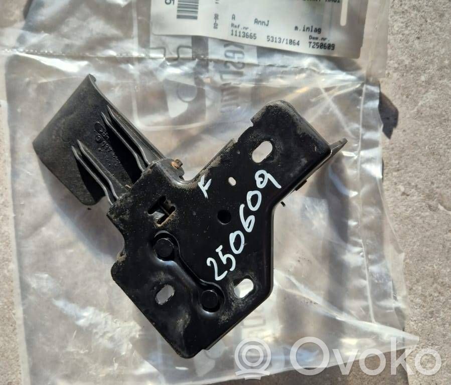 Seat Ibiza III (6L) Rygiel / Zaczep zamka pokrywy przedniej / maski silnika 