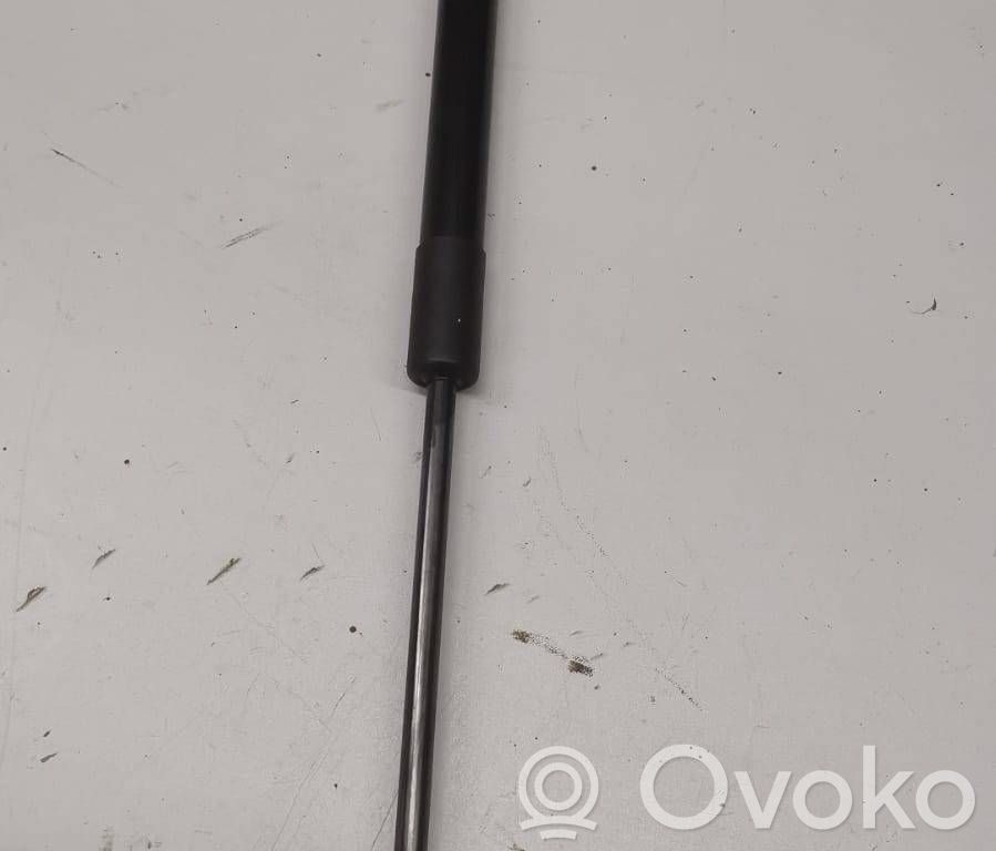 Volkswagen Scirocco Amortiguador/puntal del maletero/compartimento de carga 