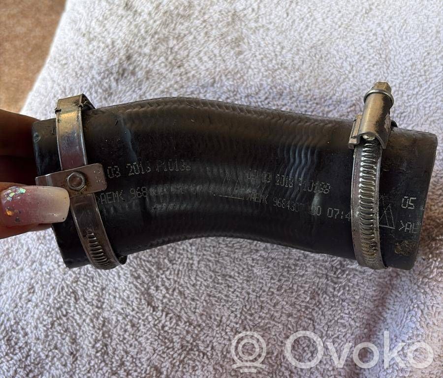 Citroen C3 Air intake hose/pipe 