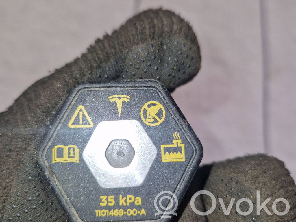 Aušinimo skysčio išsiplėtimo bakelio dangtelis   110146900A