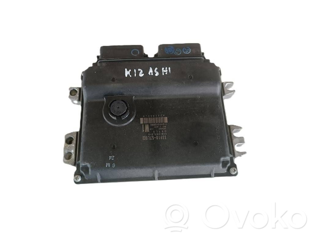 Engine control unit/module   3391057L0,1124002850,ECM057L00