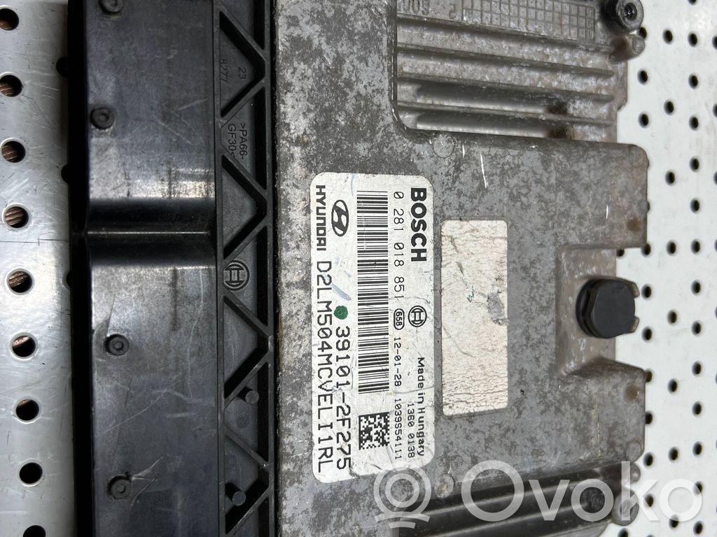 Engine control unit/module   0281018851,391012F275