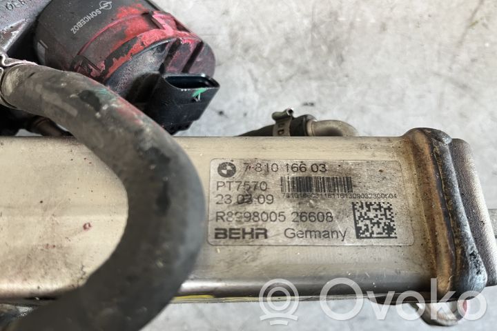 EGR aušintuvas   781016603