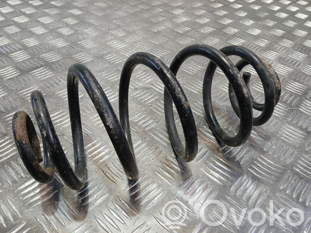 Rear coil spring