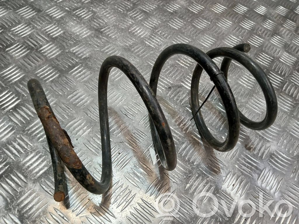 Front coil spring
