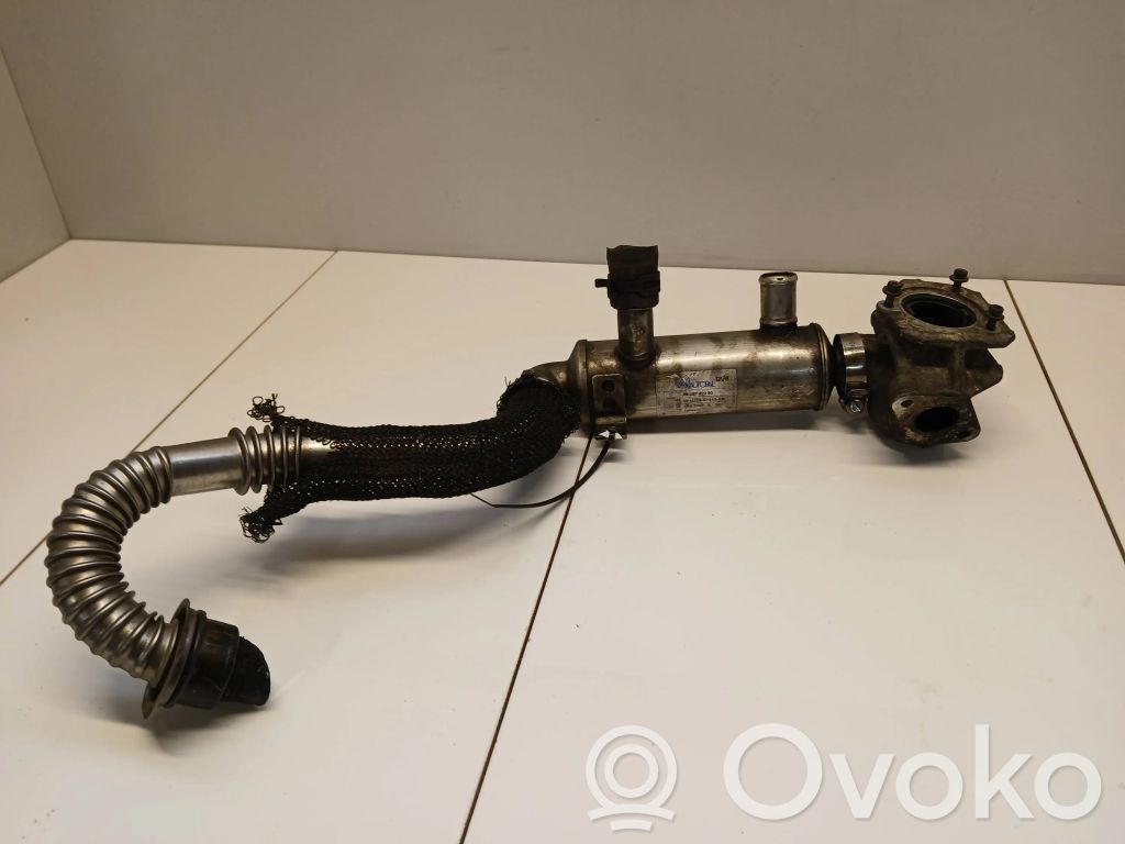 Ford Focus EGR-venttiili/lauhdutin 