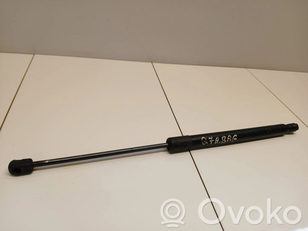Tailgate/trunk strut/damper