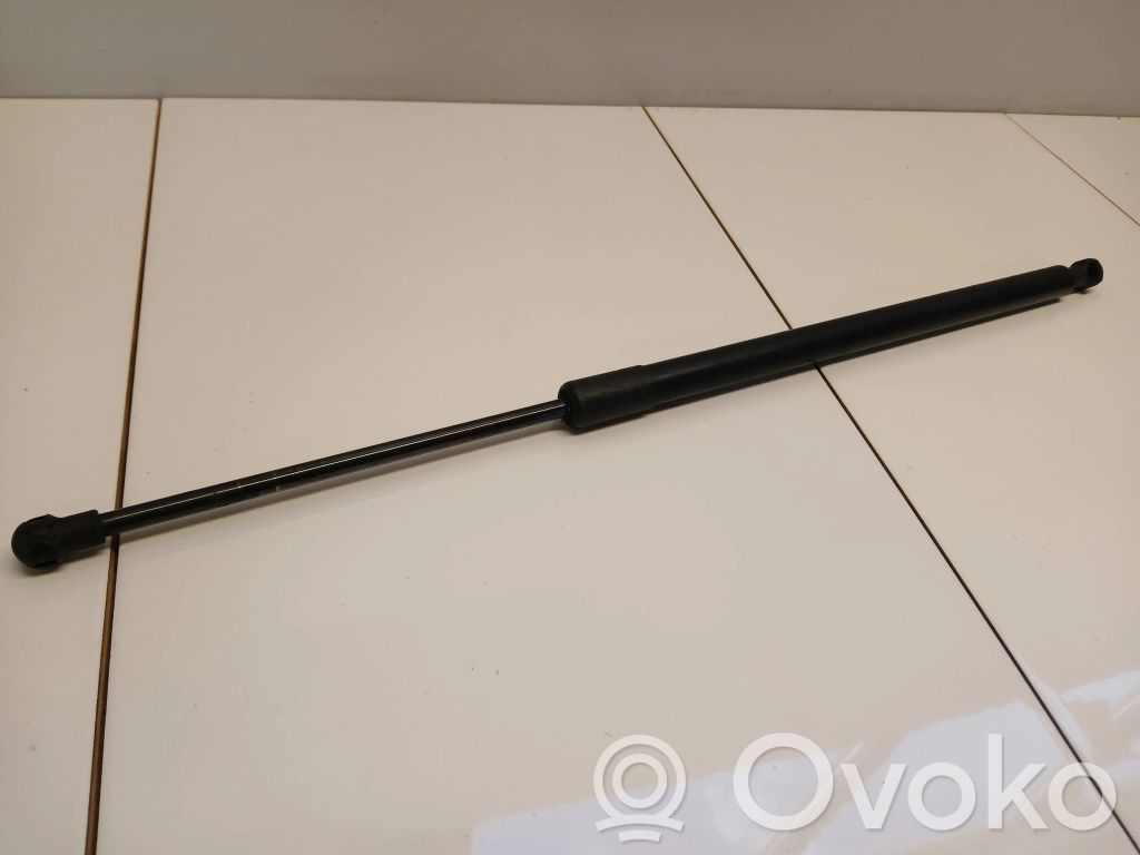 Tailgate/trunk strut/damper
