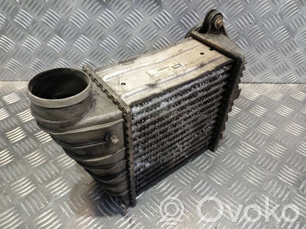 Volkswagen Bora Oro nukreipėjas/ kanalas interkūlerio radiatoriaus 