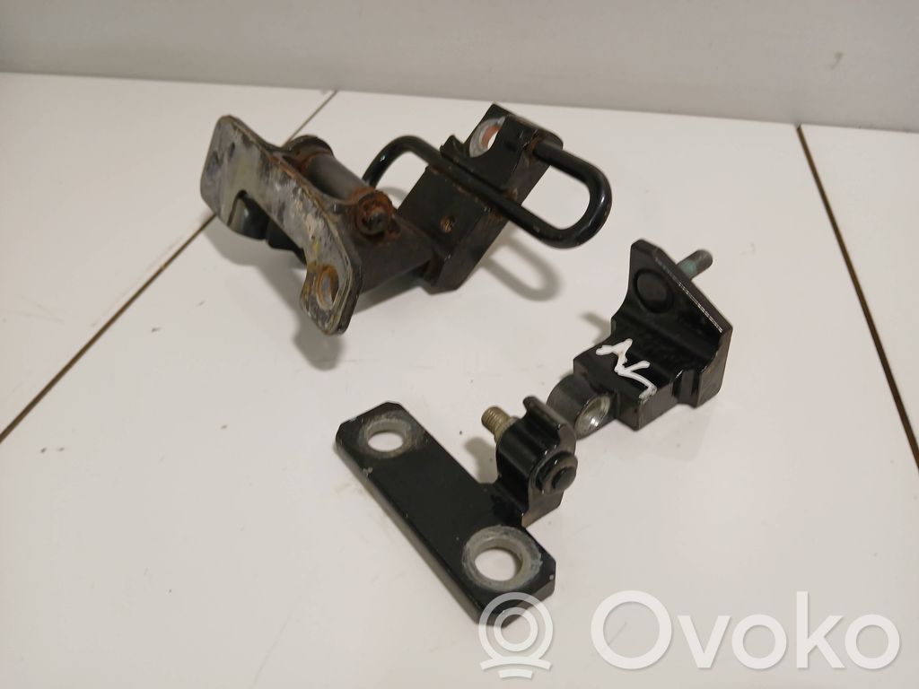 Volkswagen Phaeton Rear door hinge set 
