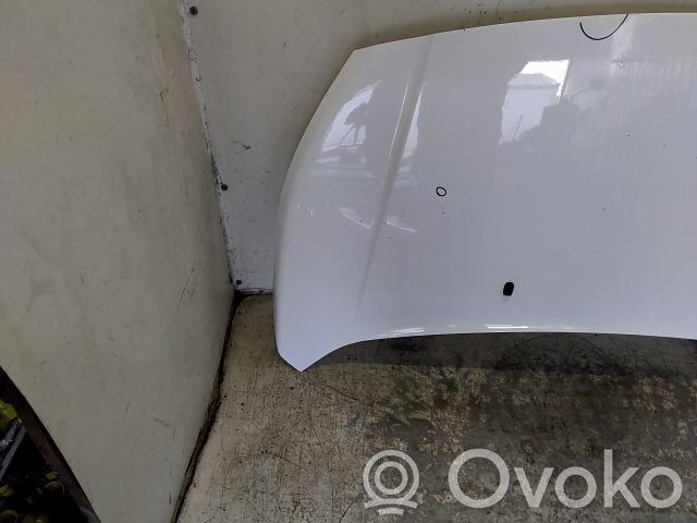 Engine bonnet/hood   1808950,20241223,3805810,VDMS7