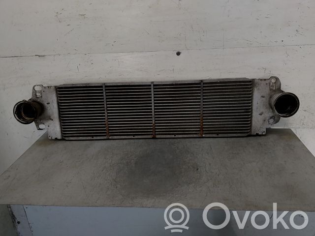 Volkswagen Multivan T5 Starpdzesētāja radiators 