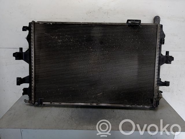 Volkswagen Multivan T5 Dzesēšanas šķidruma radiators 