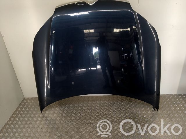 Capó/tapa del motor   00007901P3,20250764,7618188,VDMS7