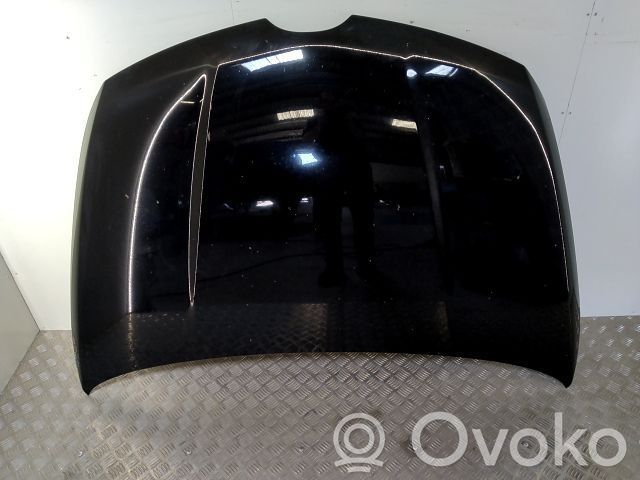 Motorhaube   EGY15231XD,20250540,9053557,VDMS7