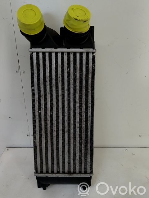 Intercooler radiator   0384L4,20251526,8597602,VDMS7