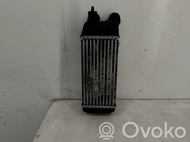 Peugeot Expert Radiator intercooler 