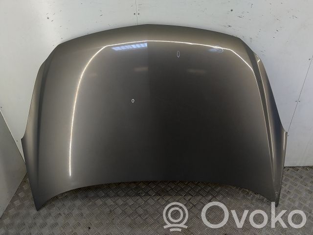 Dzinēja pārsegs (vāks)   95514714,20260358,30466510,VDMS7