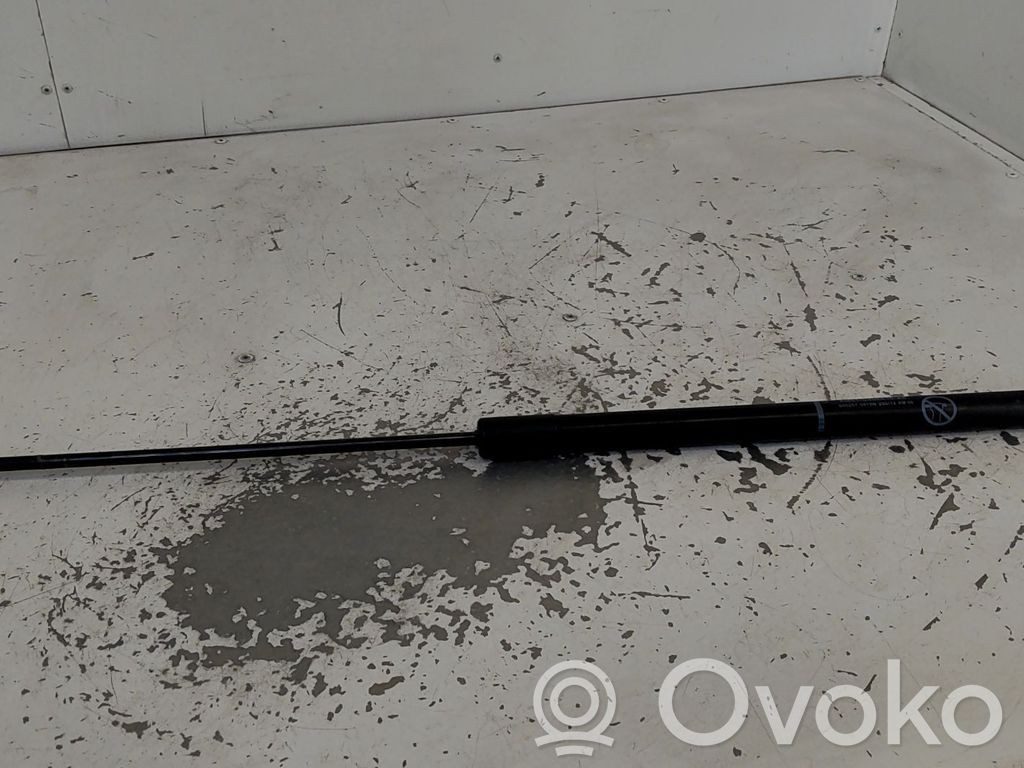 Ford Focus C-MAX Tailgate/trunk strut/damper 