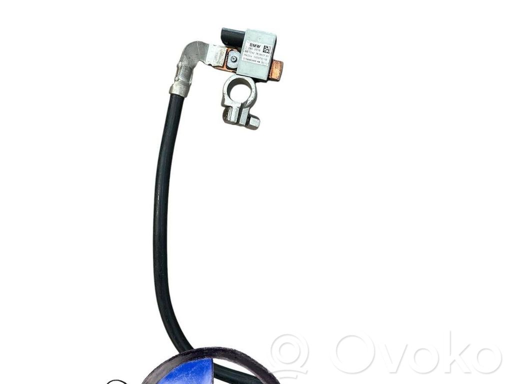 Negative earth cable (battery)   7618677