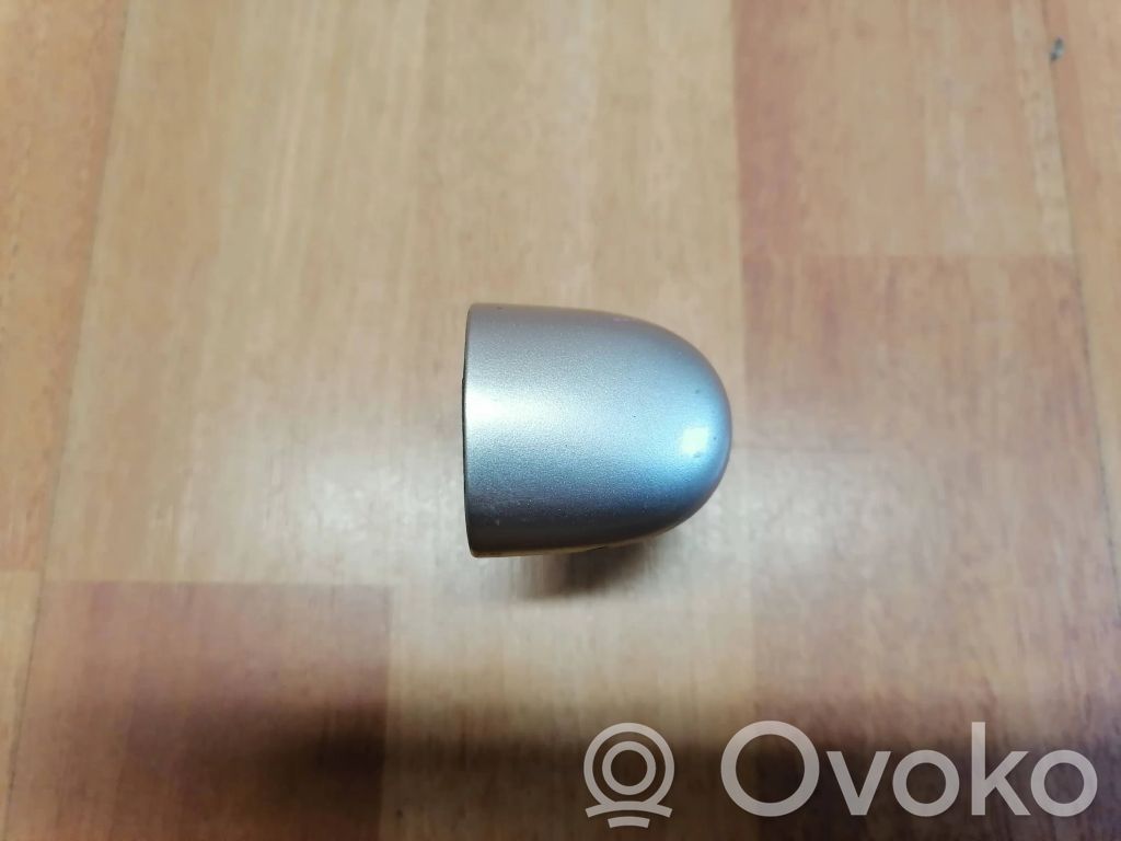 Renault Laguna III Rear door handle cover 