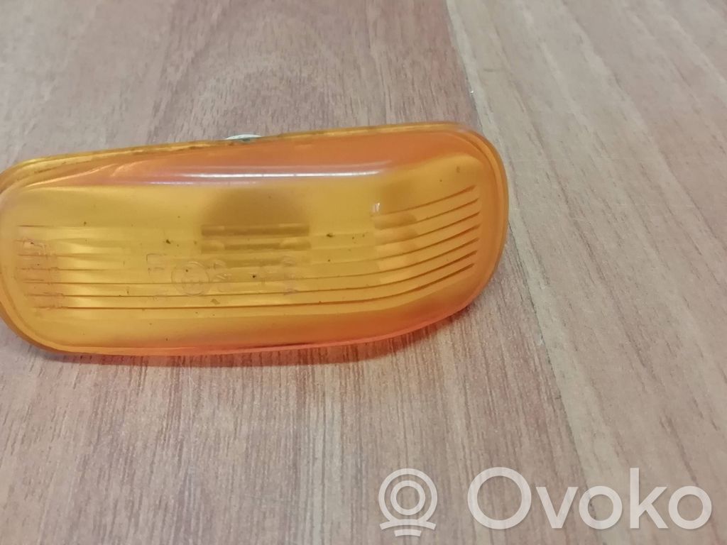 Front fender indicator light