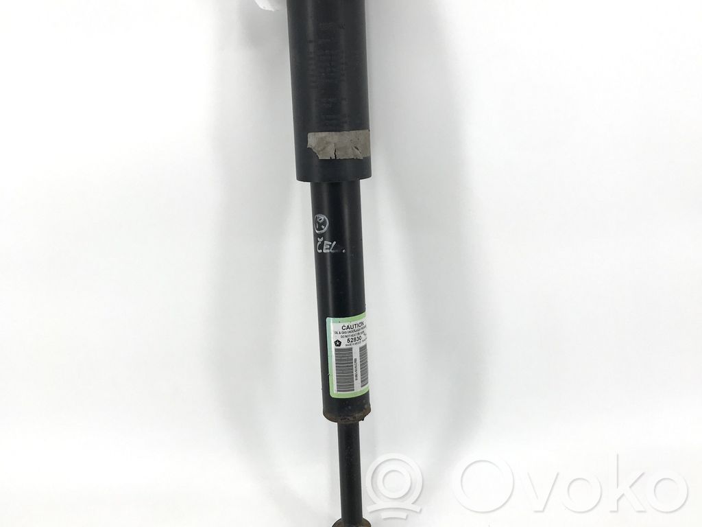 Dodge Challenger Stoßdämpfer hinten 