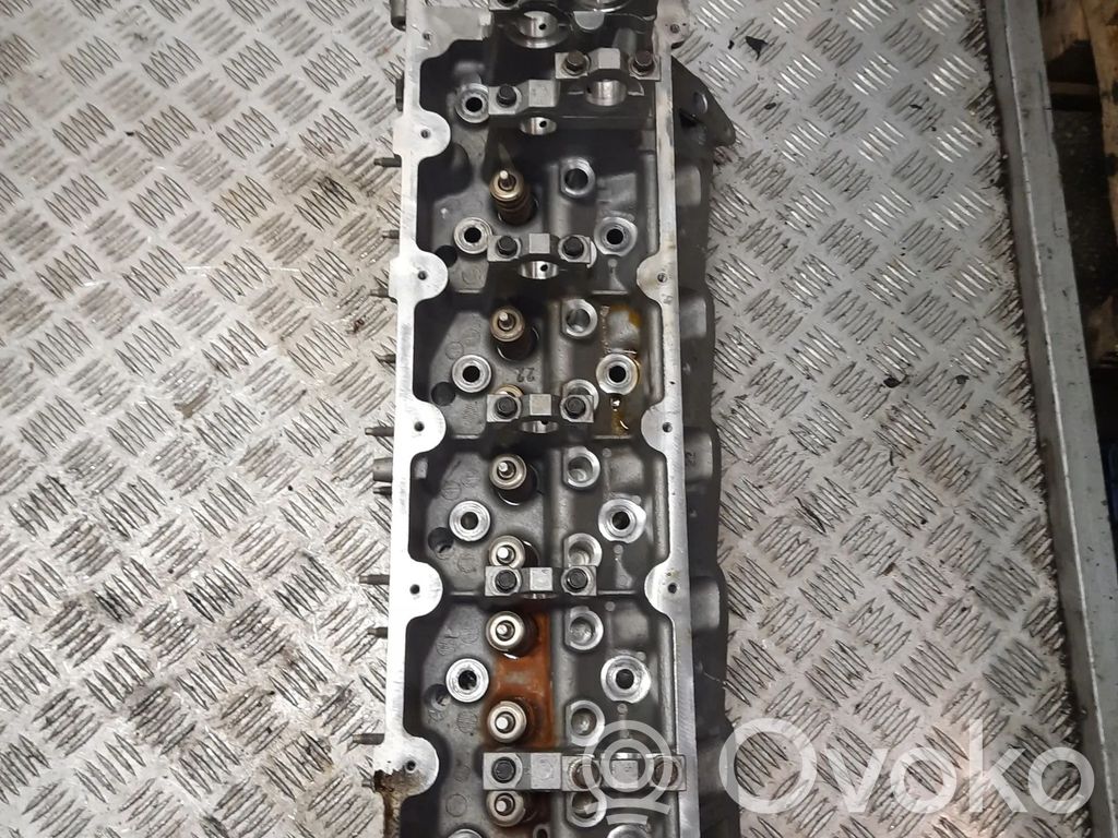 Galvutė   RF1C2E6090A22A