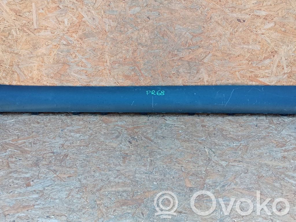 Tesla Model Y Priekinis slenkstis (kėbulo dalis) 
