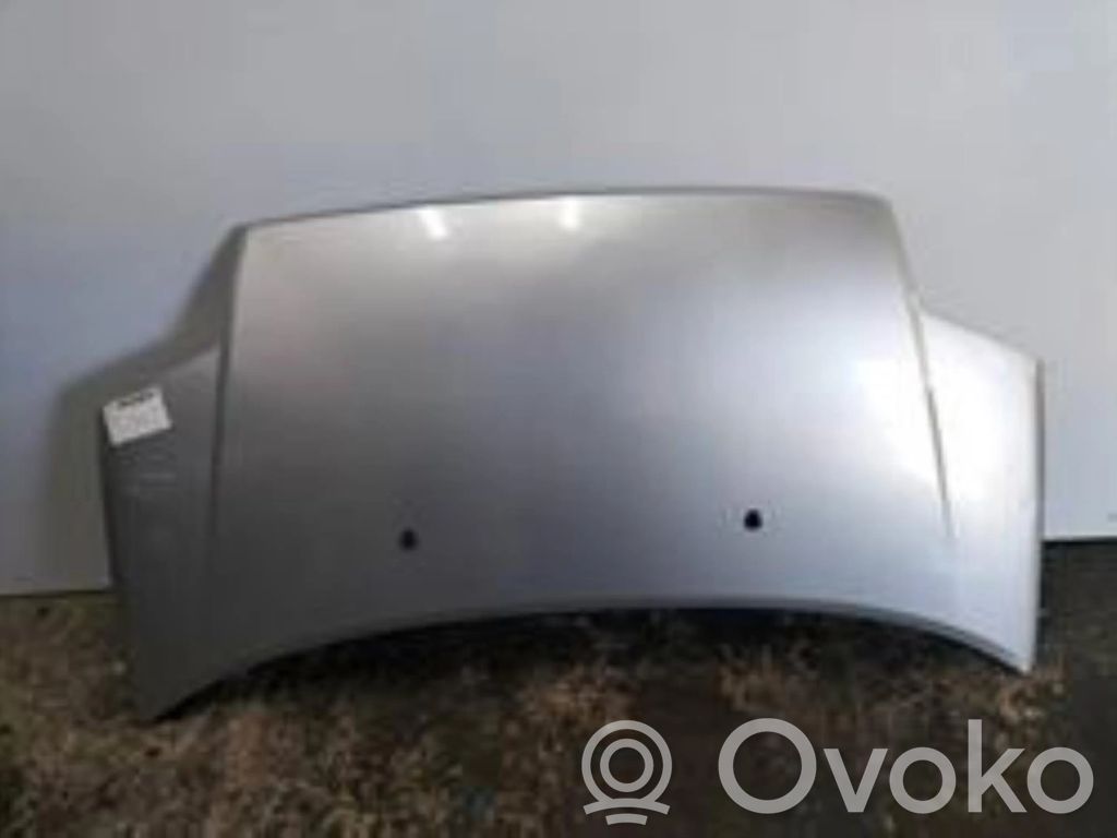 Motorhaube