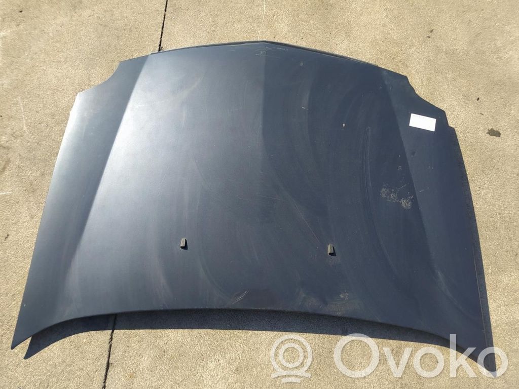 Engine bonnet/hood
