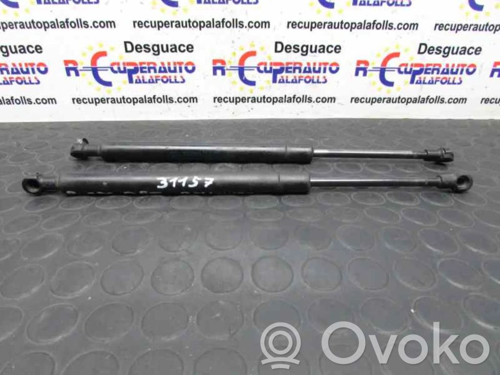 Tailgate/trunk strut/damper