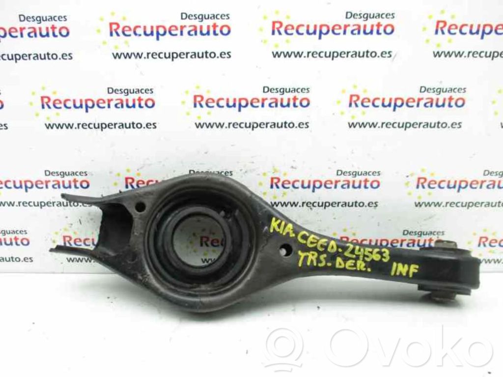 Brazo de suspensión trasero