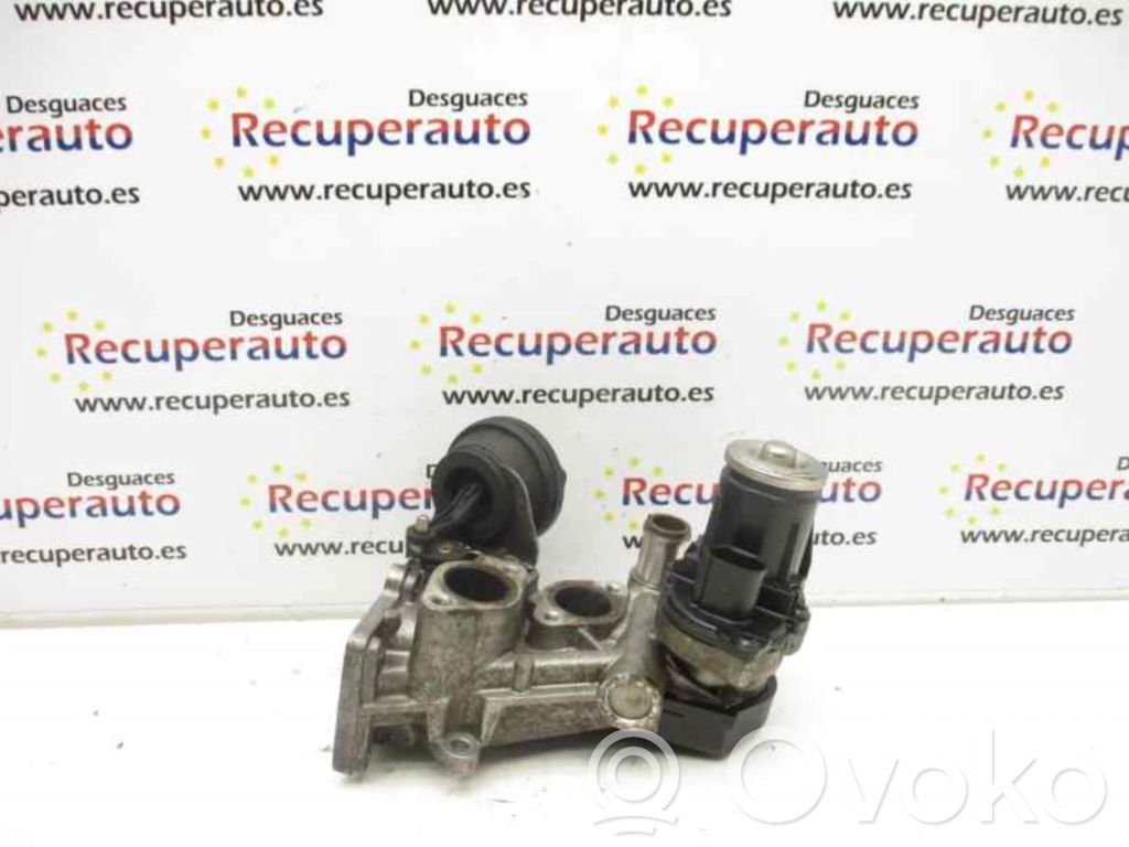 Válvula EGR   11725505