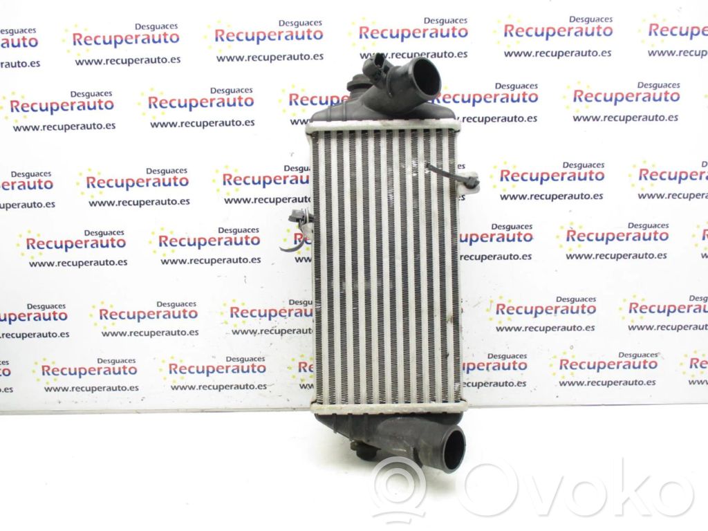 Radiador intercooler   282702A640