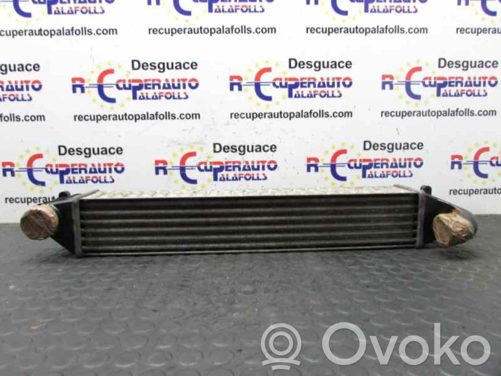 Radiador intercooler