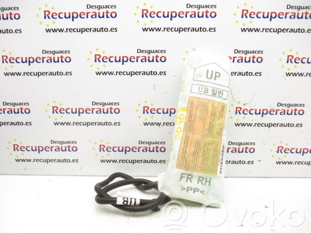 Airbag lateral   0499P1000021