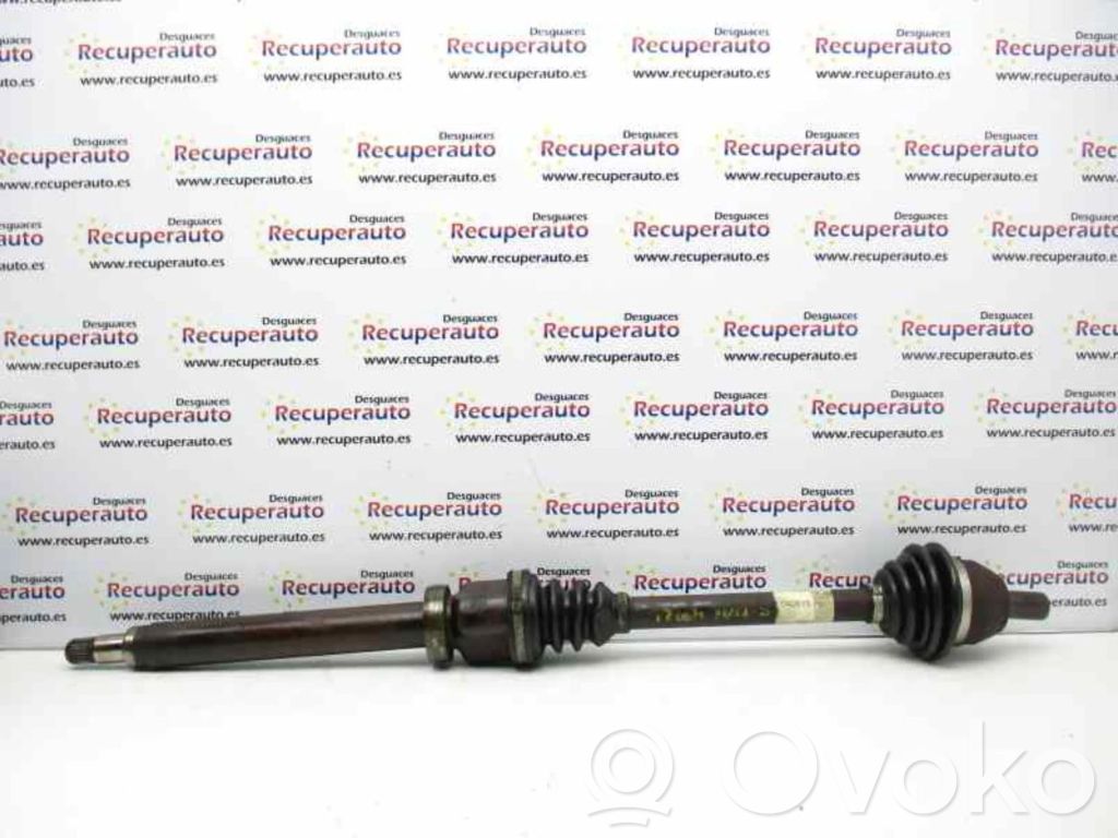 Drive shaft (set)