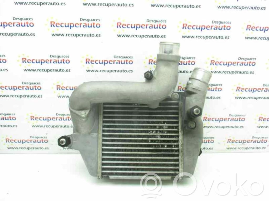Intercooler radiator   1271002360